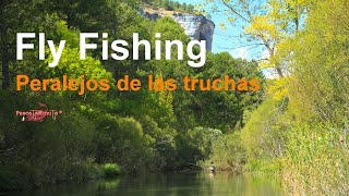 Peralejos de las Truchas