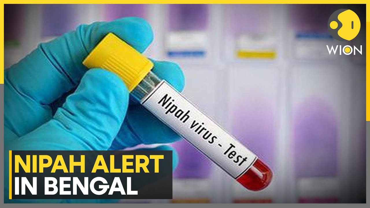 India: Two Suspected Nipah Cases in West Bengal as Centre Sends Emergency Team | WION