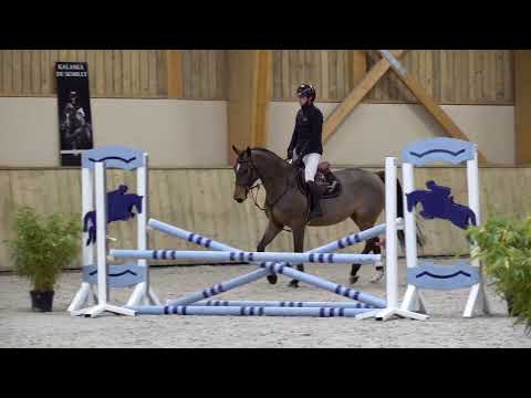 KARMA GOLD SEMILLY