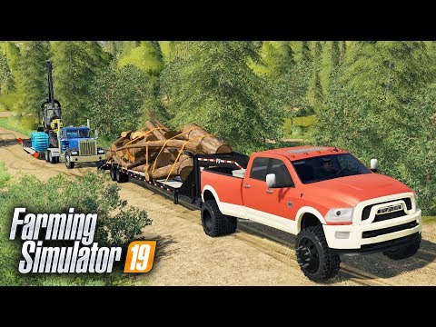 FS19- LOGGING ON "GRIZZLY MOUNTAIN" MAP! SEARCHING FOR THE BEST TIMBER | EP #1