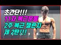매일 15분!!! 11자복근루틴!!! / 2주 복근만들기 챌린지 2탄! / 타바타 / 리얼루틴
