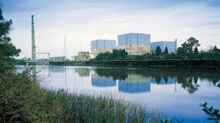 What You are NOT being told about the Brunswick Nuclear Power Plant EMERGENCY