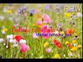 Whatsapp Status Bulbula Re Bulbula