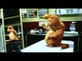 Garfield Trailer Ita
