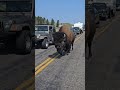 Bison Shows Who S King Of The Road Wildlife Nature Yellowstone