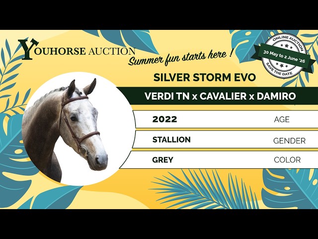 Silver Storm EVO