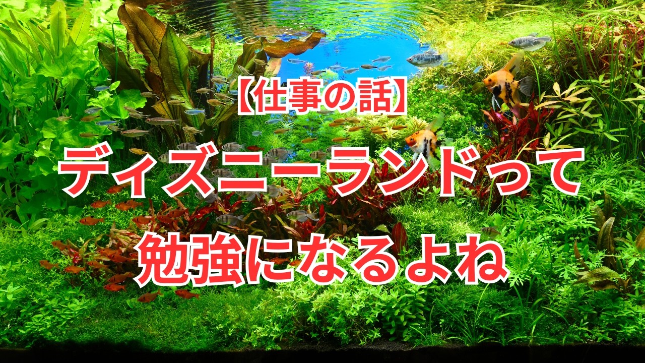【仕事の話】ディズニーランドって勉強になるよねって話
