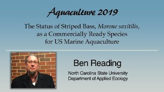 Download Lagu Ben Reading: Striped Bass, Morone saxatilis, Aquaculture Thumbnail
