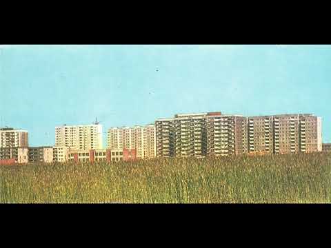 26. Filmowe sceny z życia tyszan.  Tychy; piknik na łąkach osiedla U,  1979 rok.
