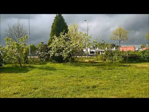 Gerechtigheid uit het geloof