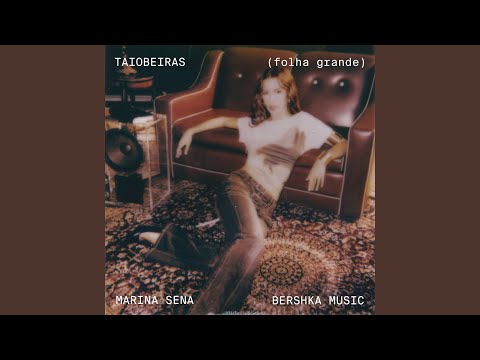 Taiobeiras (folha grande)