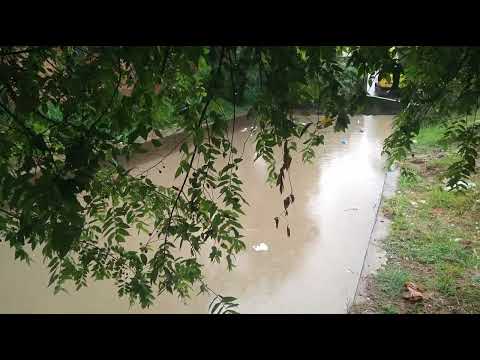 102.000 videos en Siloe City tv.