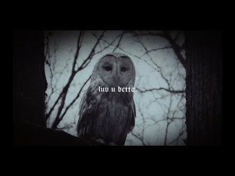 lil Wildife- luv u betta (Official Visualizer)