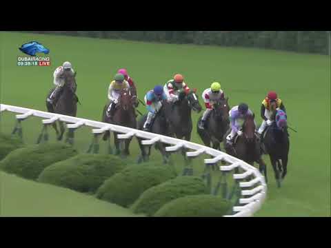 2017.10.15 Momiji Stakes (JPN) - Danon Smash