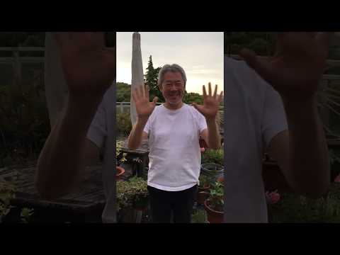 企画構想学科 #emmyWash_Jingle 平野治（マイネム共同代表）より