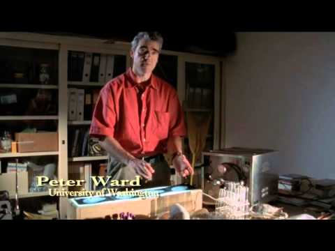 Shape of Life: Molluscs - Nautilus Regulates Its Buoyancy