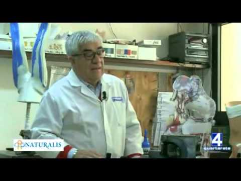Gelatina utile per giunti Gonartroz il secondo grado del trattamento ginocchio