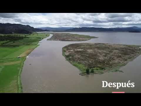 Recuperación 87 hectáreas Pol  Cundinamarca laguna de Fúquene