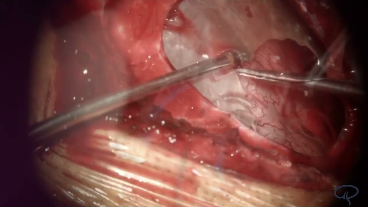 Aurelio Ponce Ayala-9