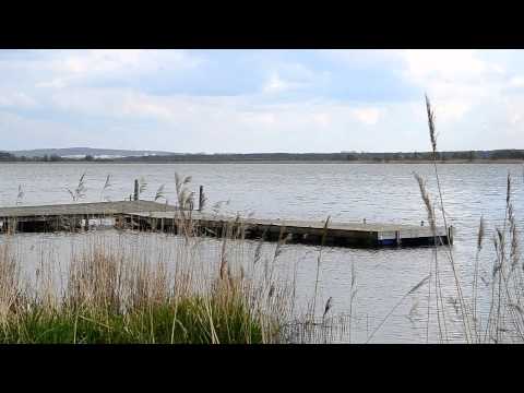 Wideo - Jezioro Jamno - YouTube