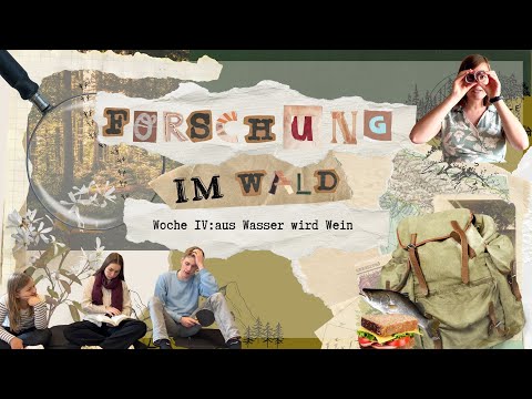 Online KiGo I Forschung im Wald - Wunder Jesu Teil 4: Aus Wasser wird Wein