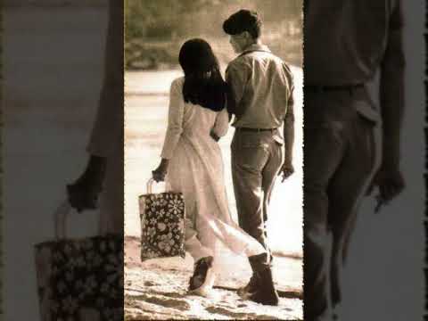 Tình đầu tình cuối Sheet - Nhật Trường