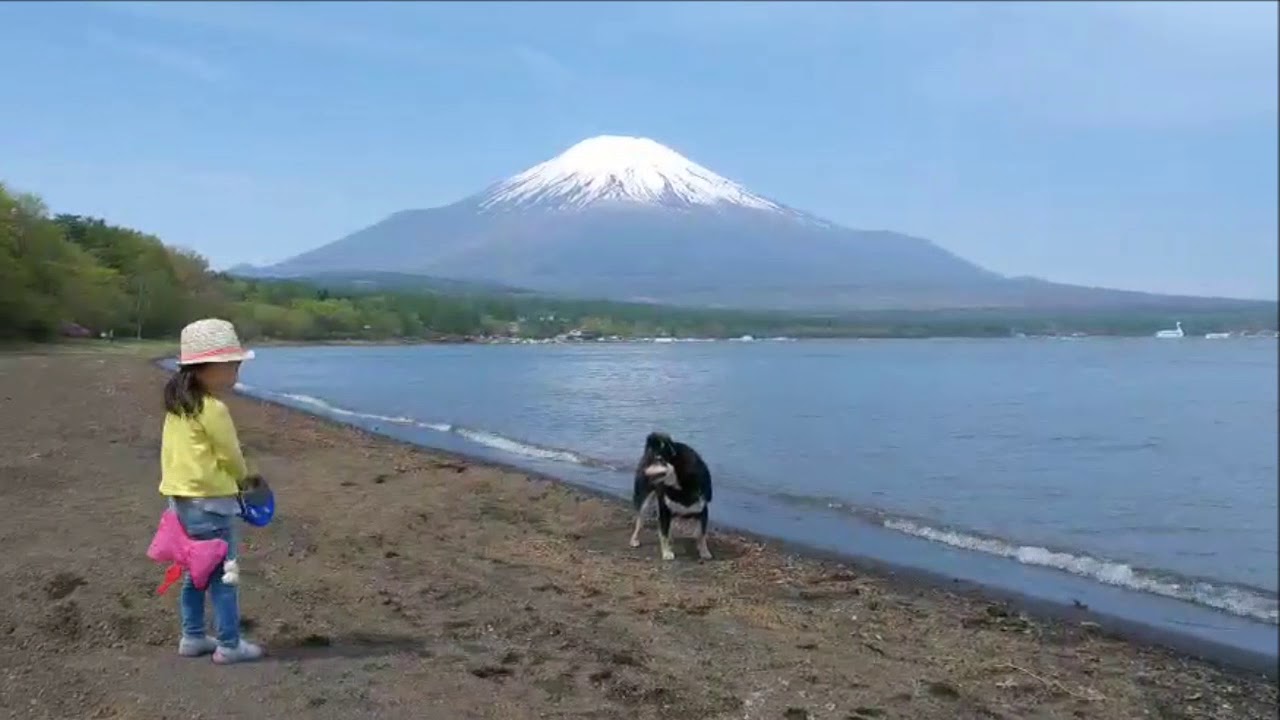 富士山と柴犬と幼女