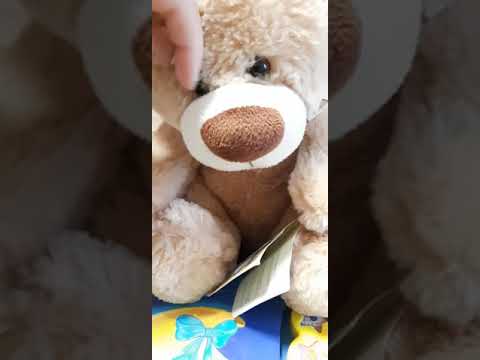 Обзор игрушки интерактивный медведь Мишка говорящий друг 'Поговори со мной' (песни, сказки, фразы)