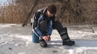 Зимния ловля окуня на пруду