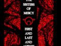 The Sisters Of Mercy Some Kind Of Stranger