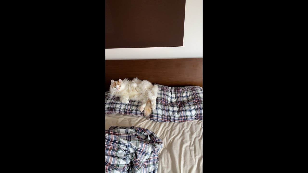 ちょっとお話したいですね。切り抜き自由　顔出し