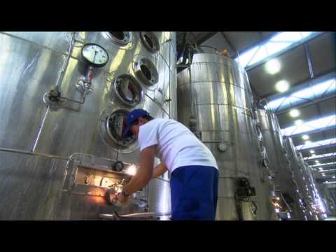 How is sugar made from beets? | frage-trifft-antwort.de | Planet School