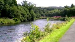 preview picture of video 'lucy cavalier king charles spaniel visits dumbarton + falls of cruachan'