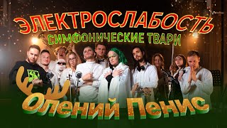 Cover art for Олений пенис (dears dick)