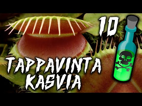 10 MAAILMAN TAPPAVINTA KASVIA