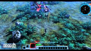 Colonies Online Gameplay First Look - HD