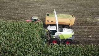 Vreba Melkvee | Mais hakselen | New CLAAS Jaguar 990 | New CLAAS Orbis 900