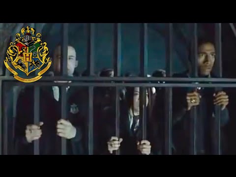 Harry Potter: “Slytherins Escape the Dungeon” (Deleted / Extended Scenes)