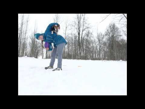Frisbee Freestyle Training jack-russell terrier Greta