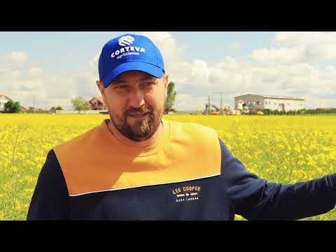 Testimonial rapita, despre noul hibrid PT303 - dl. Roman Anton Varga