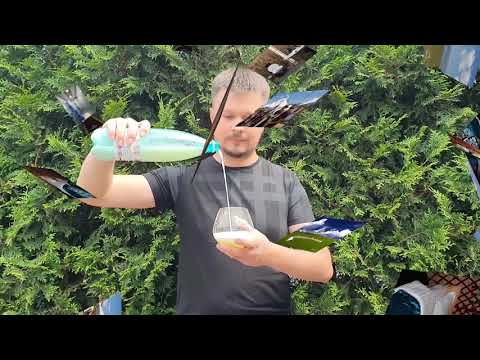 Yurt camp Nomad's Dream