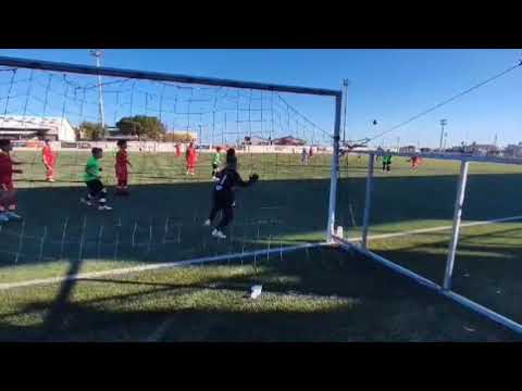 Belle parade en pleine lucarne !!