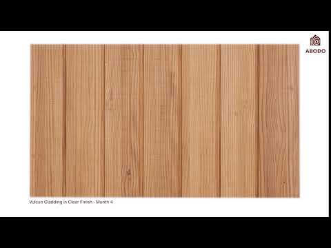 Vulcan Cladding in Protector - Clear / Watch Me Weather