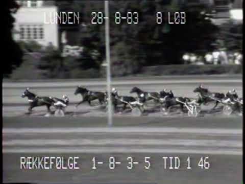 Dansk Trav Derby 1983 - Forever Vixi