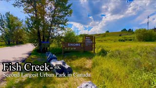 Second Largest Urban Park in Canada #calgary #canada #alberta