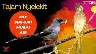 Download lagu TAJAM NYELEKIT FULL HD MASTERAN SIRI SIRI dan MURA... mp3