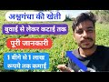How To Cultivate Ashwagandha Herbal Farming Ashwagandha Farming Ashwagandha Cultivation