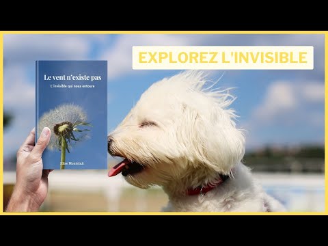 Le Vent Cache l'Invisible : notre avis sur le livre d'Elise Montclair