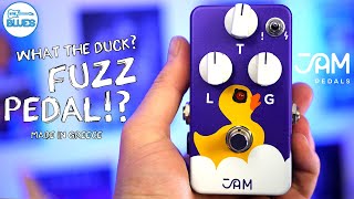 Video thumbnail for The Jam Pedals Eureka FUZZ Pedal 🐤  Don't Let the duck FOOL You! by intheblues