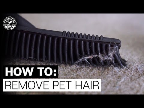How To Remove Pet Hair From Fabric & Carpet! - Chemical Guys